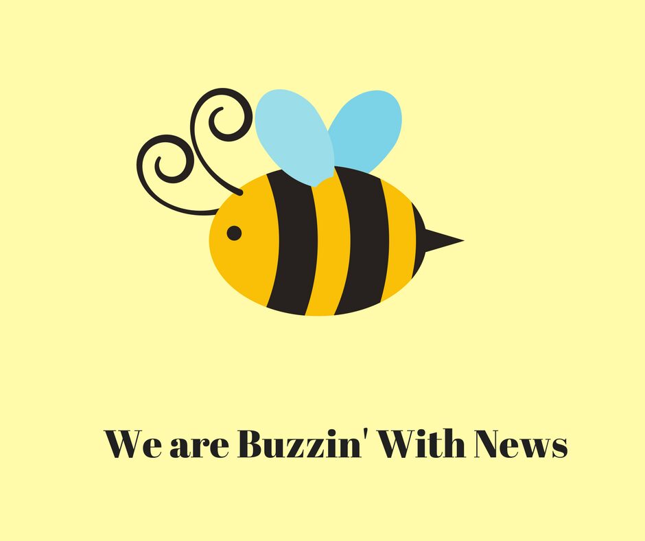 Bee Newsletter