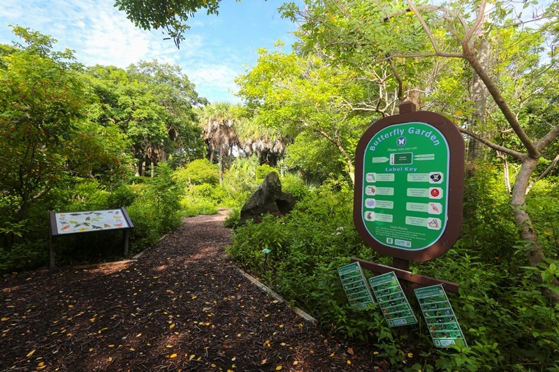 20150730 BH Butterfly Garden