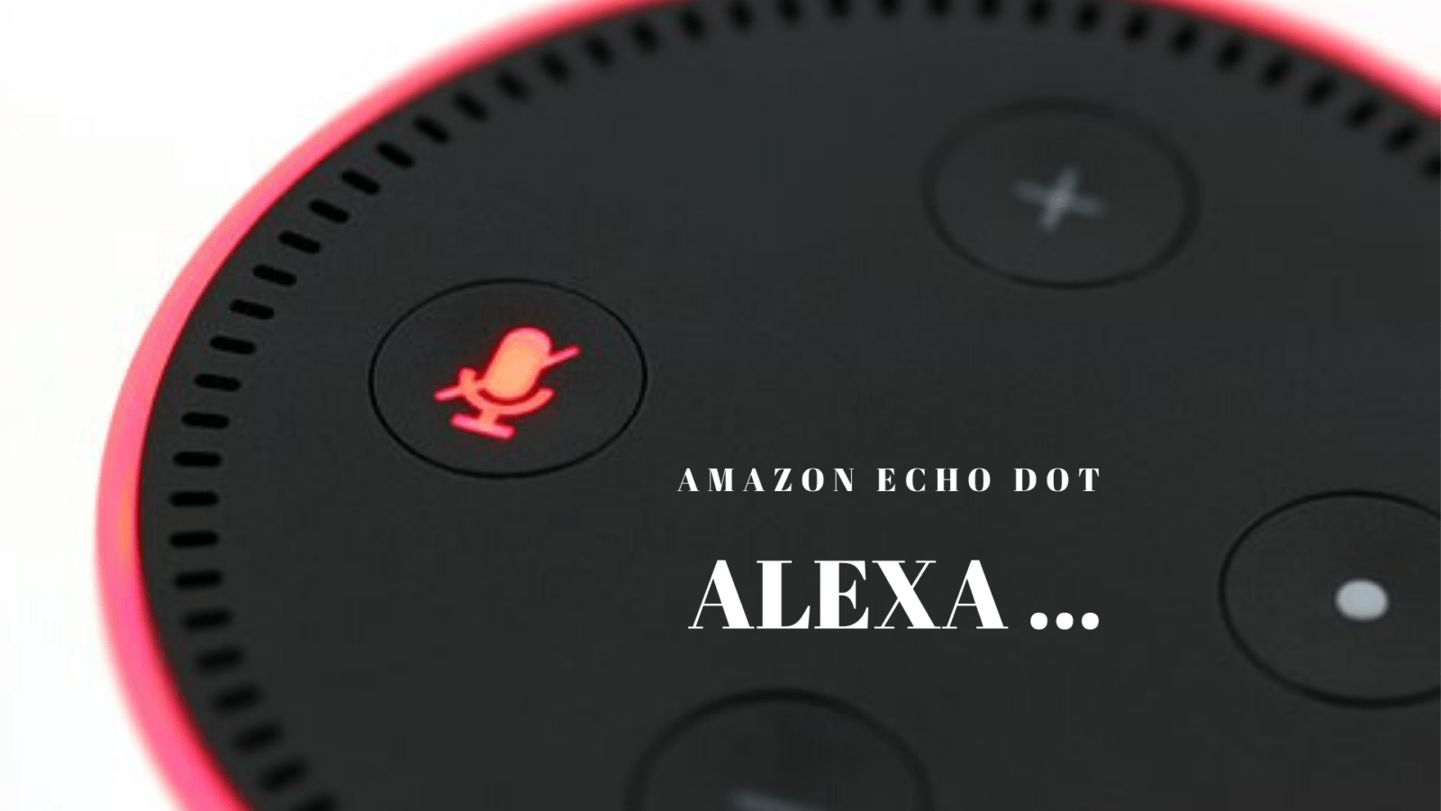 65+ Things You Can Do With Your Amazon Echo Dot