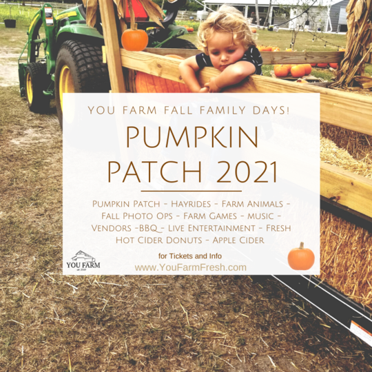 Pumpkin Patch 2021