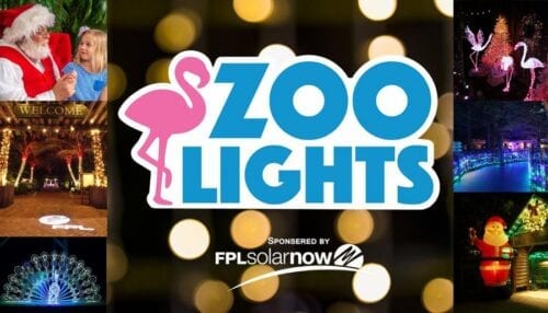 Zoo Lights 