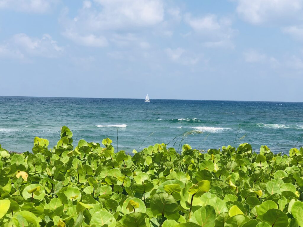 Sailboat at the beach 