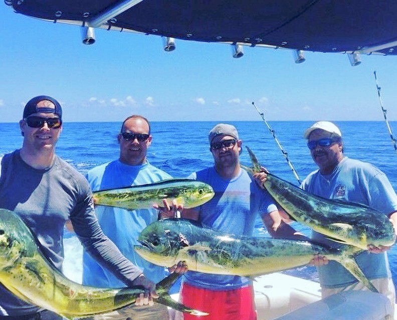 Mahi fish