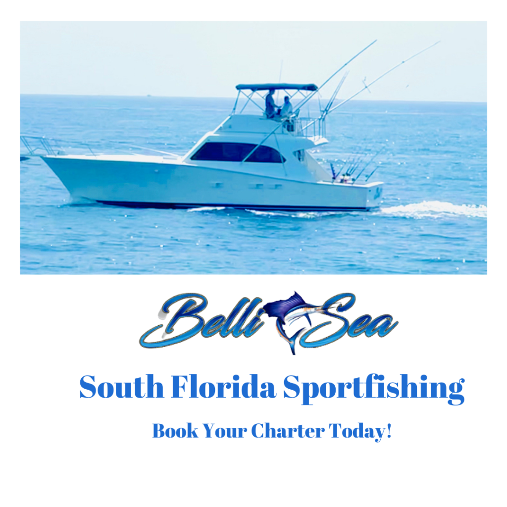 Sportfishing