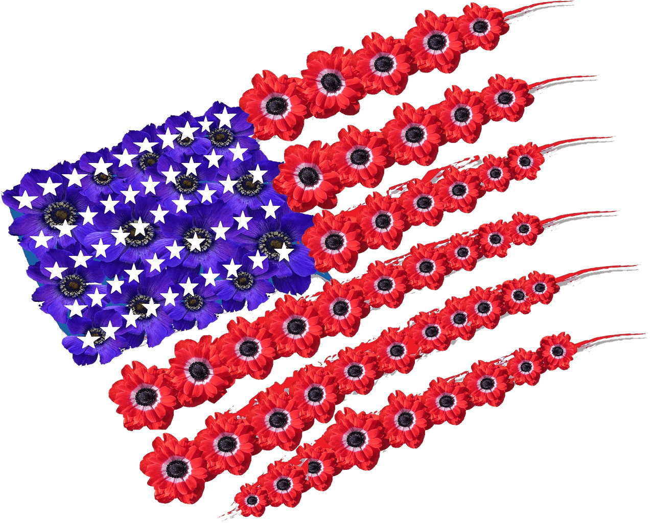 usa-g13ae995d5_1280