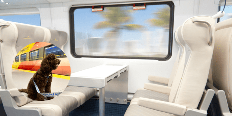 READY TO TRAVEL IN STYLE | BRIGHTLINE IS HERE!