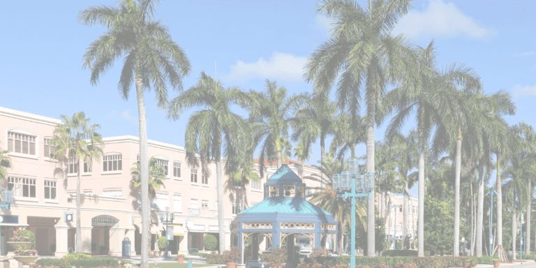 Boca Raton Non-Profits | Volunteer and Give Back
